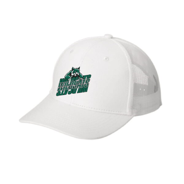 Snapback Hat - Image 3